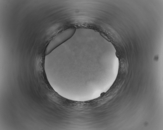 X0000116451060201001191548