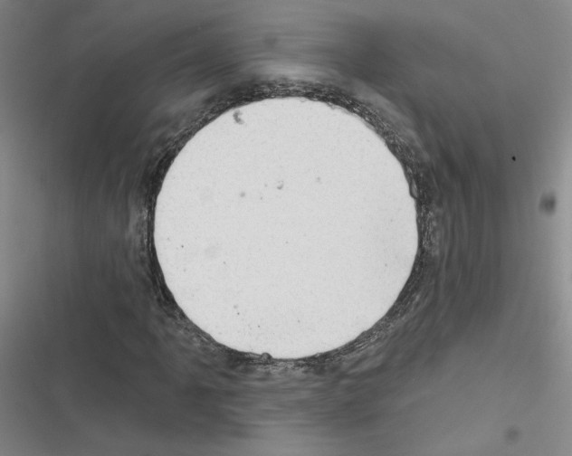 X0000116451061201001191548