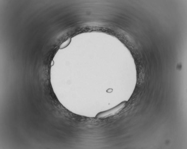 X0000116451062201001191548