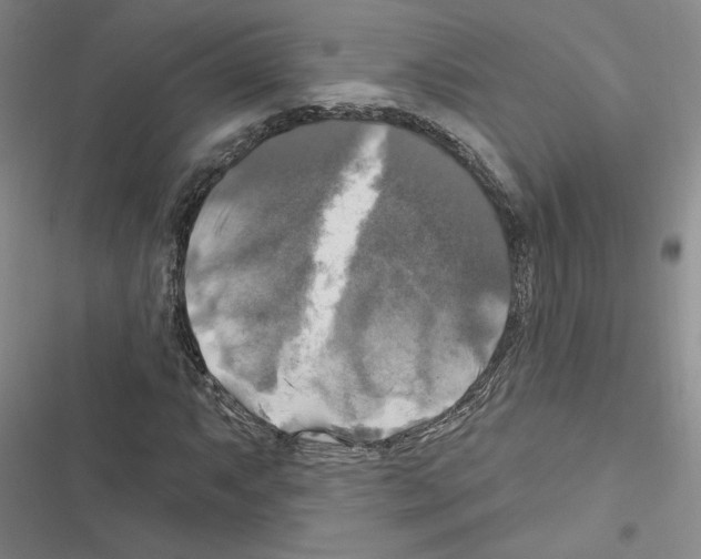 X0000116451063201001191548
