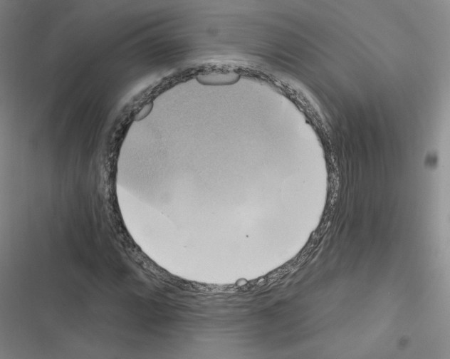 X0000116451064201001191548