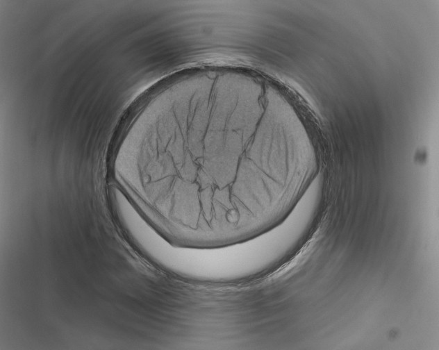 X0000116451065201001191548