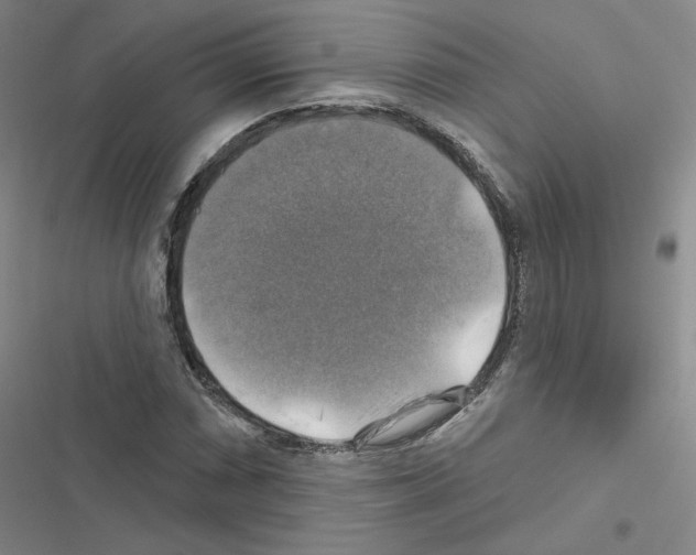 X0000116451066201001191548