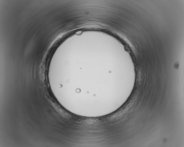 X0000116451067201001191548