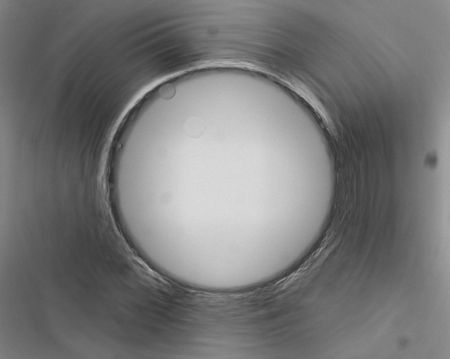 X0000116451068201001191548