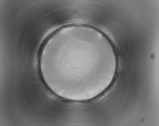 X0000116451070201001191548