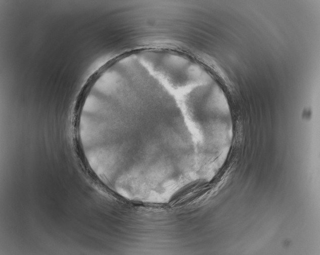 X0000116451071201001191548