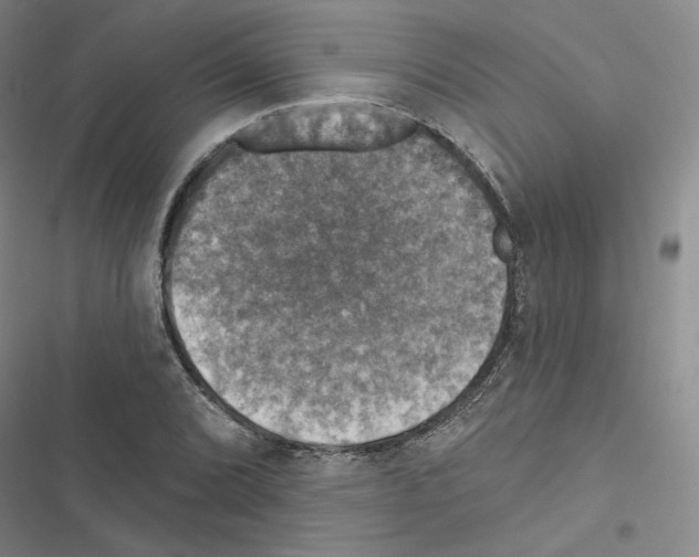 X0000116451072201001191548