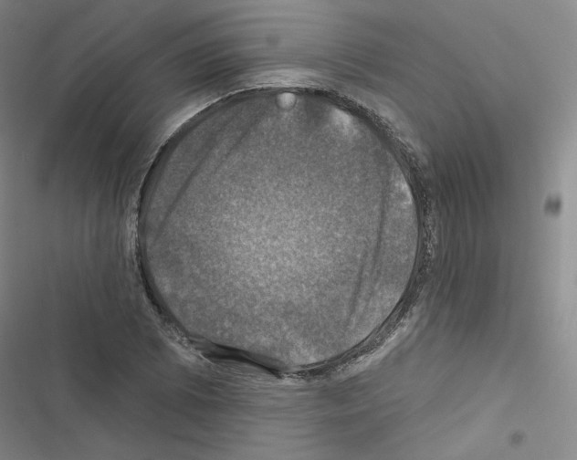 X0000116451073201001191548