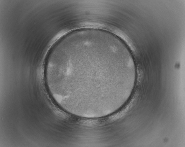 X0000116451074201001191548