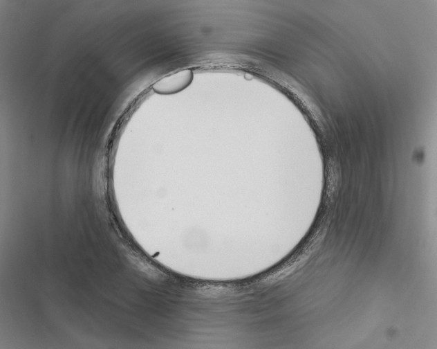 X0000116451075201001191548