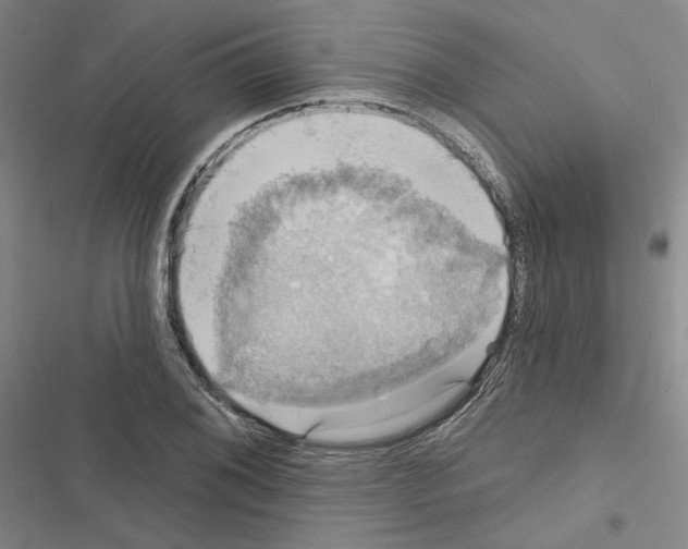 X0000116451076201001191548