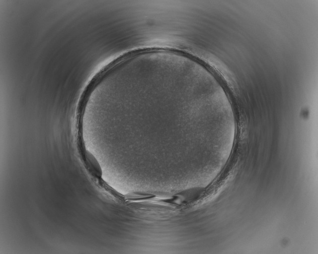 X0000116451077201001191548