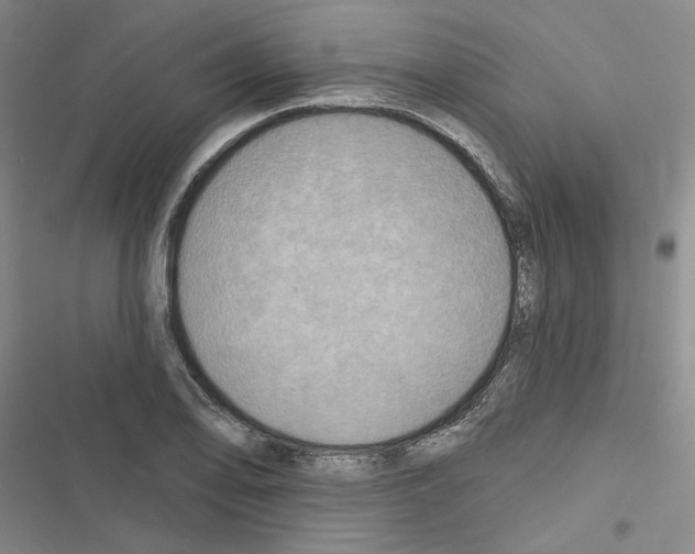 X0000116451078201001191548
