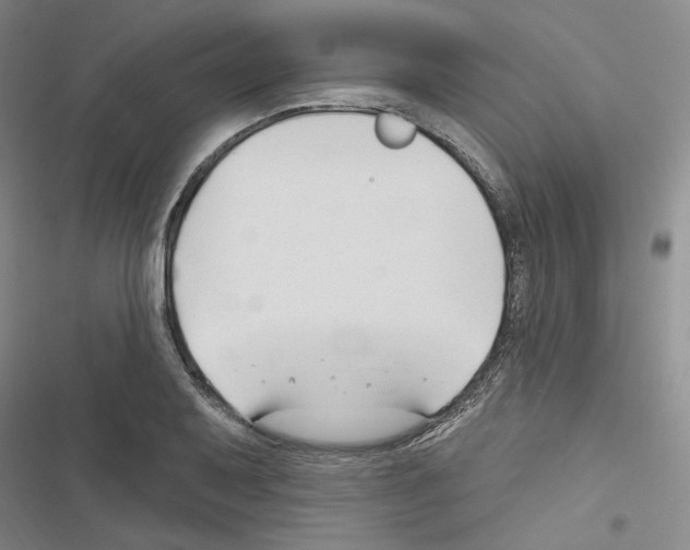 X0000116451079201001191548