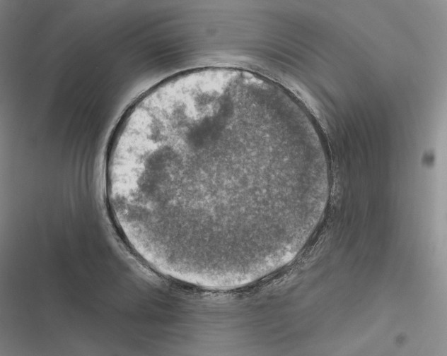 X0000116451080201001191548