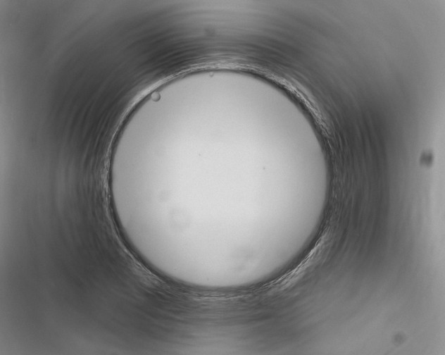 X0000116451081201001191548
