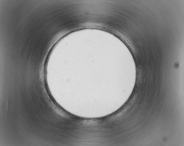 X0000116451082201001191548