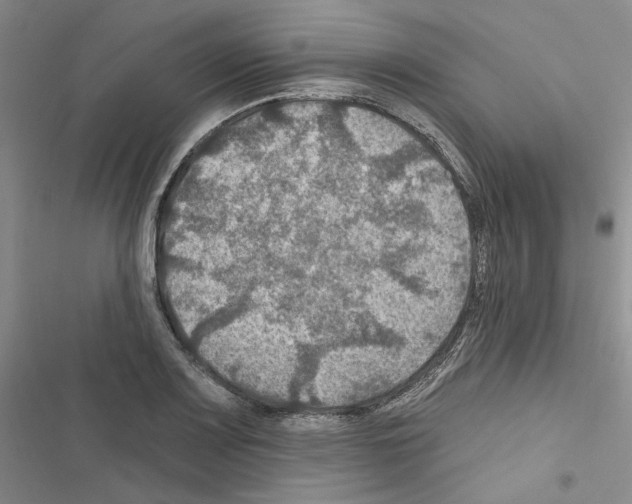 X0000116451083201001191548