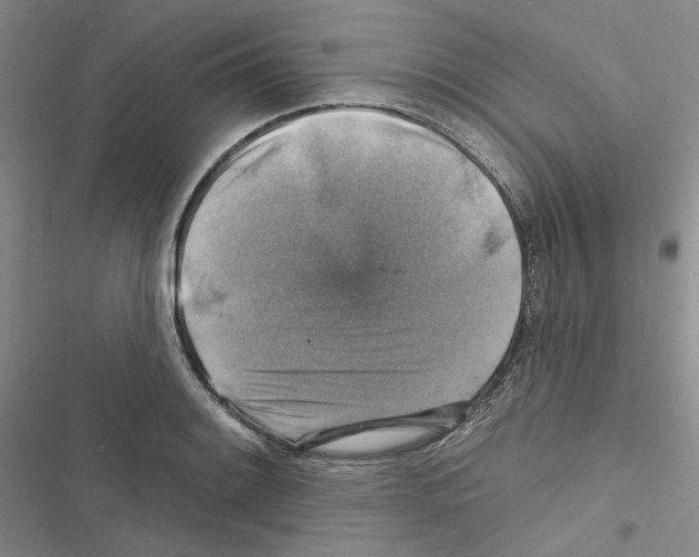 X0000116451084201001191548