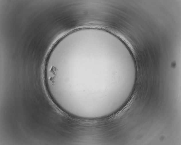 X0000116451085201001191548