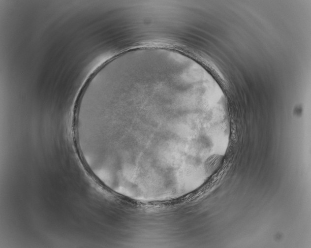 X0000116451087201001191548