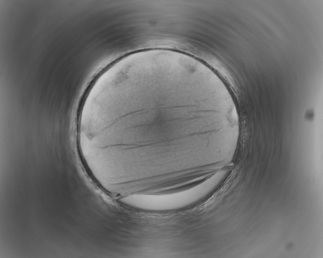 X0000116451088201001191548
