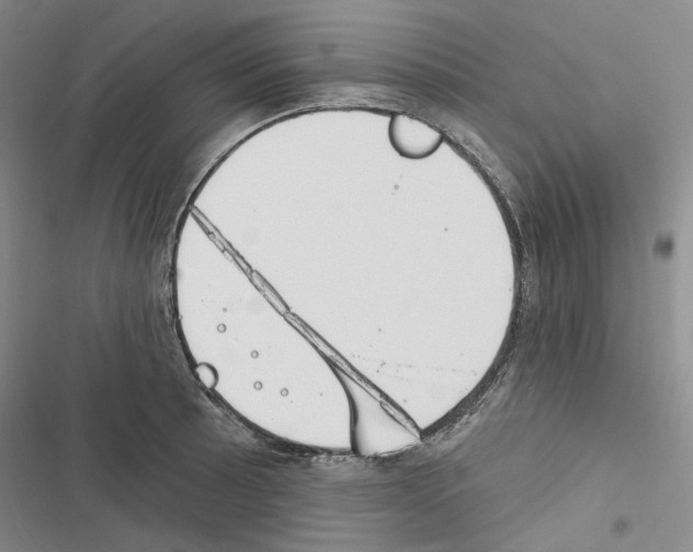 X0000116451089201001191548