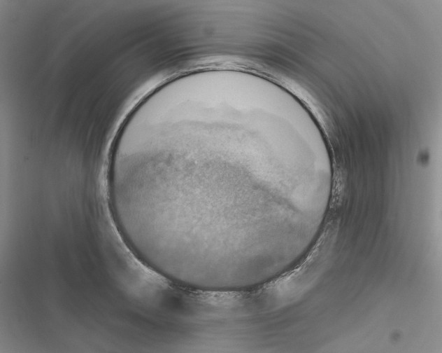 X0000116451090201001191547