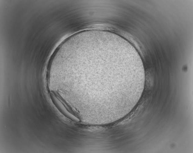 X0000116451091201001191547