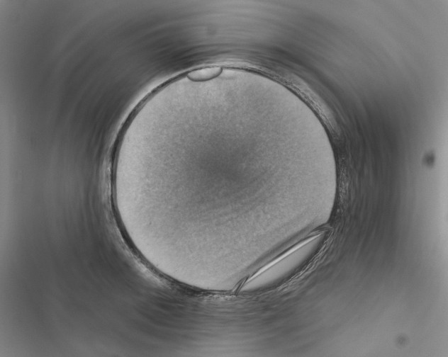X0000116451092201001191547