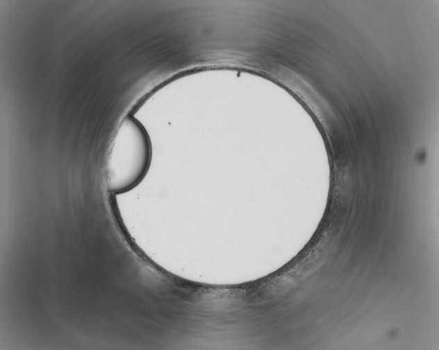 X0000116451093201001191547