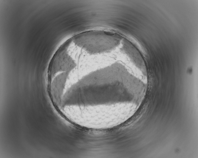 X0000116451095201001191547