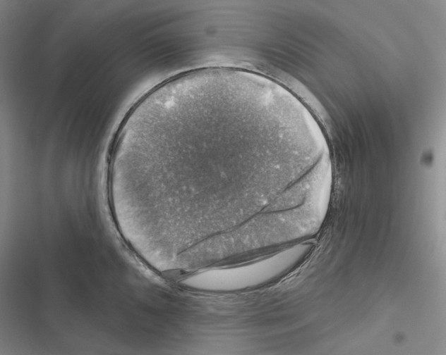 X0000116451096201001191547