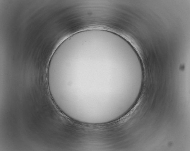 X0000116451097201001191547