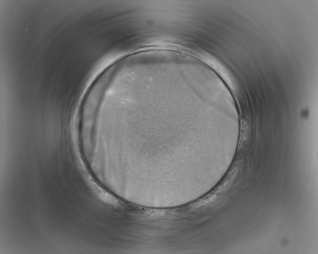 X0000116451098201001191547