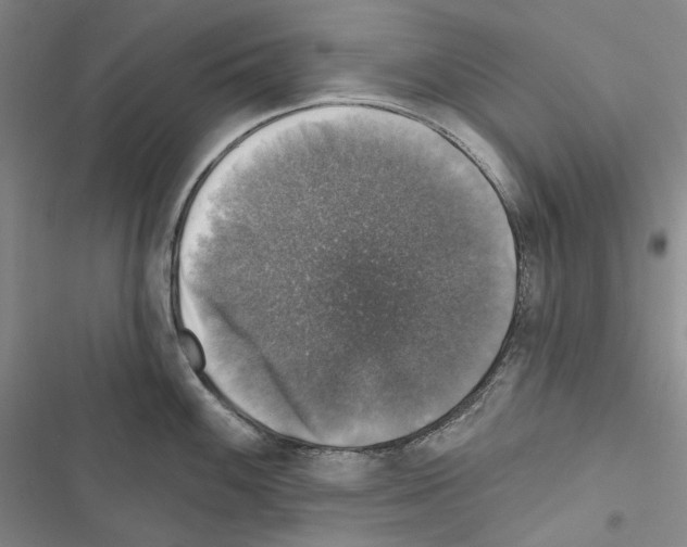 X0000116451100201001191547