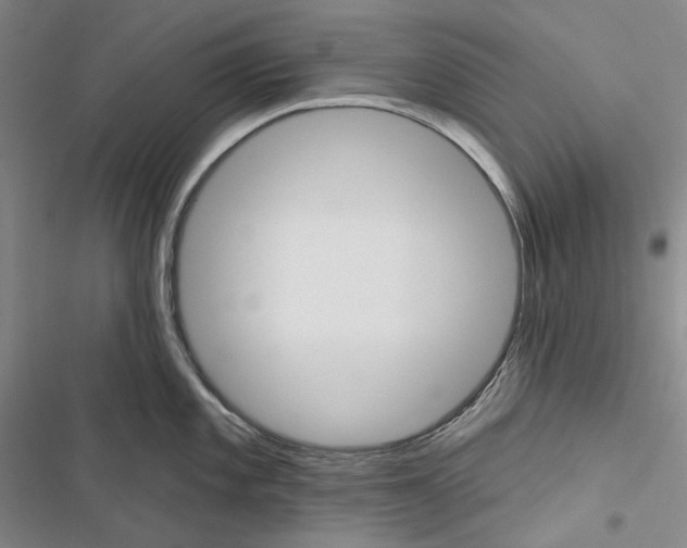 X0000116451101201001191547