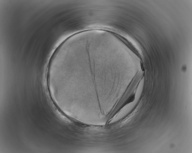 X0000116451102201001191547