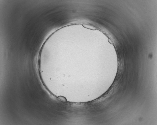 X0000116451103201001191547