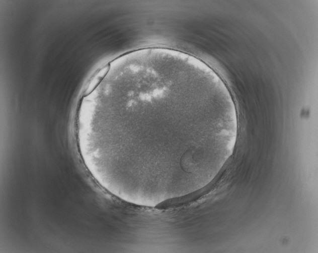 X0000116451104201001191547