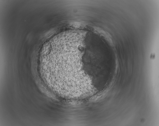 X0000116451105201001191547
