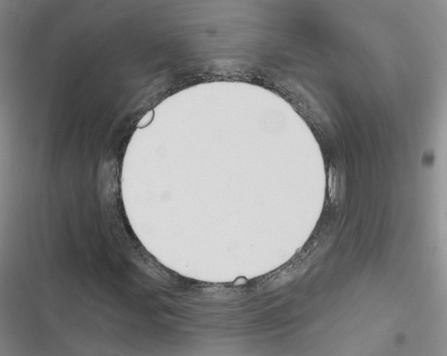 X0000116451107201001191547