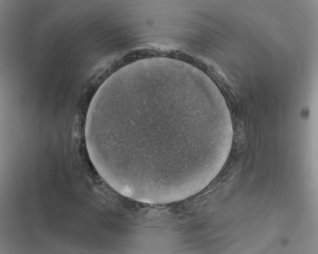 X0000116451110201001191547