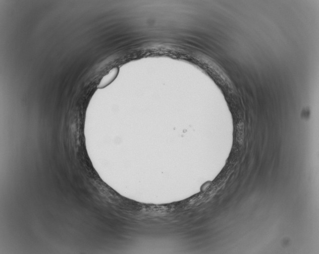 X0000116451111201001191547