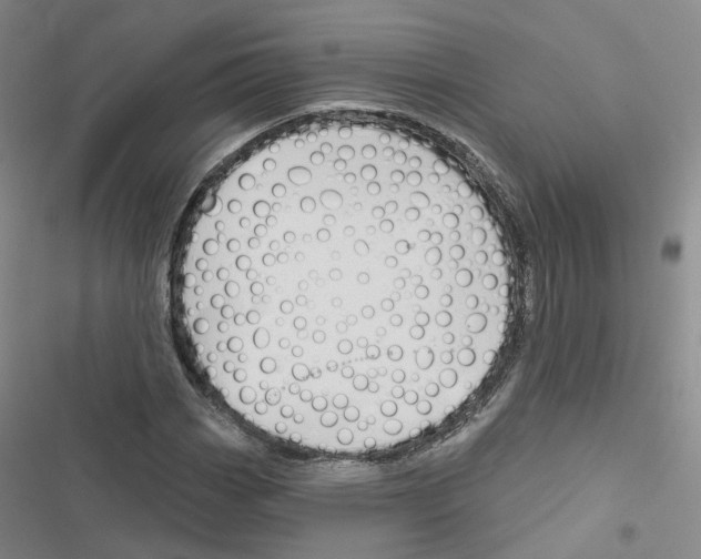 X0000116451113201001191547