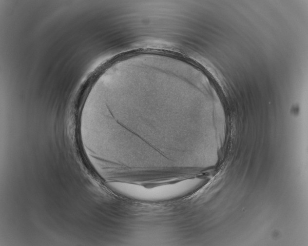 X0000116451115201001191547