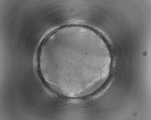 X0000116451117201001191547