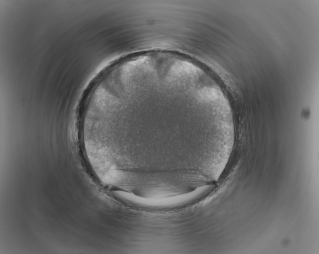 X0000116451118201001191547