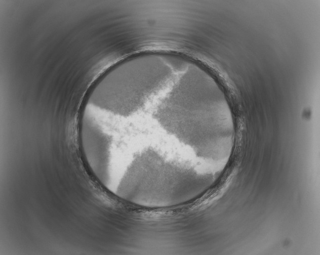 X0000116451121201001191547
